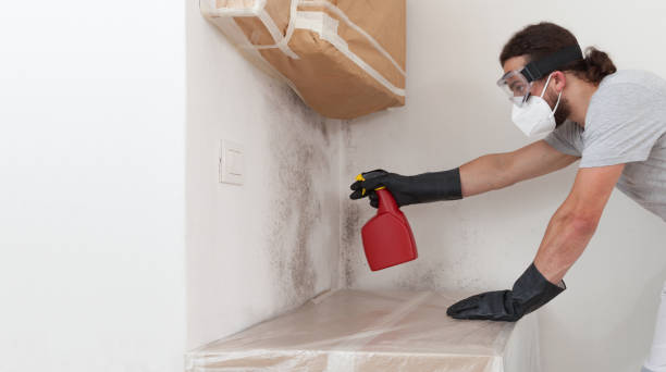Professional Mold Cleanup technician working in Olanta, PA